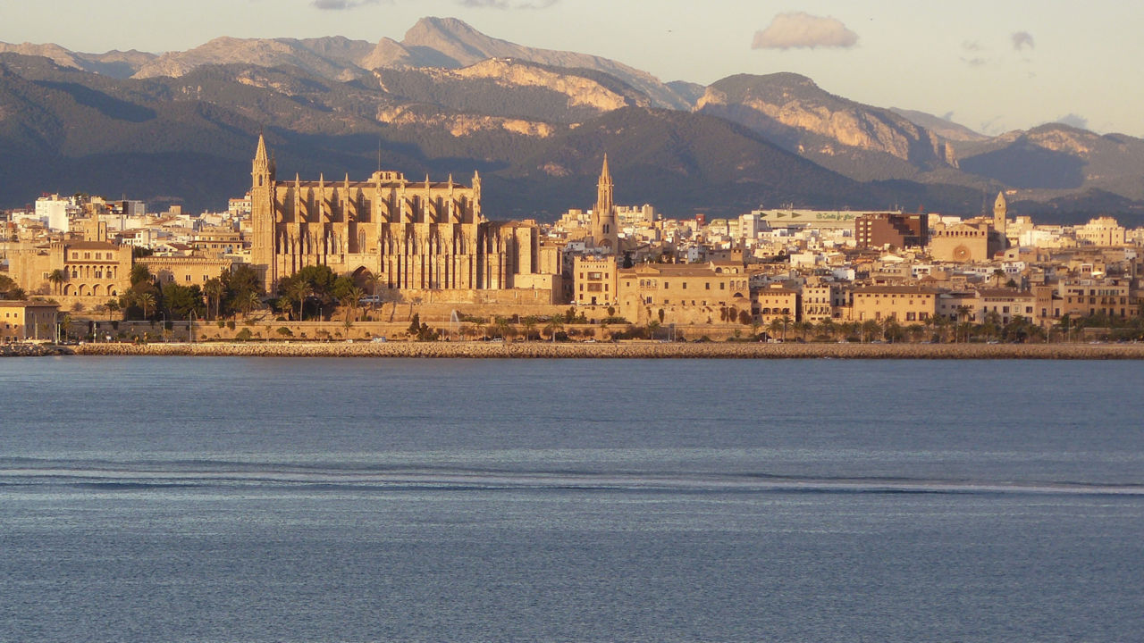 palma palma